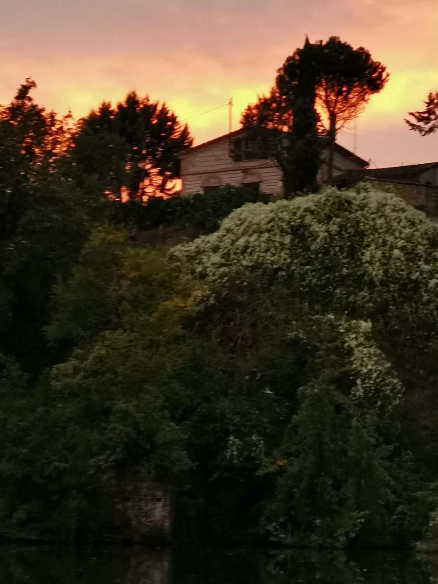 La Planque De L'Eclusier Villa Castelnau-de-Lévis Exteriör bild