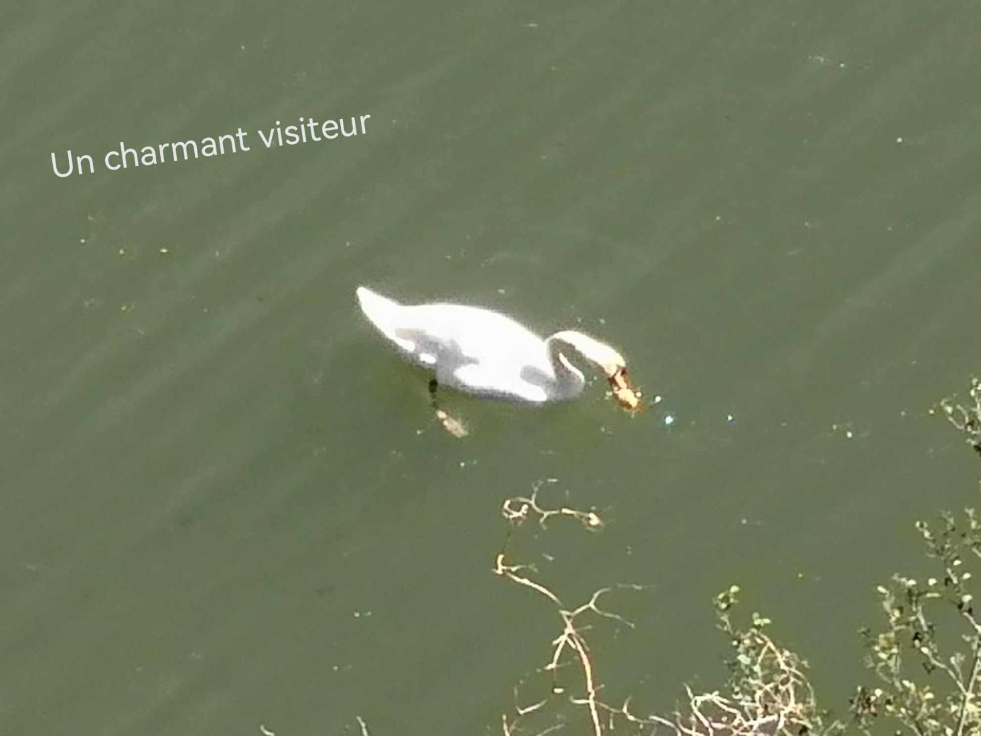 La Planque De L'Eclusier Villa Castelnau-de-Lévis Exteriör bild