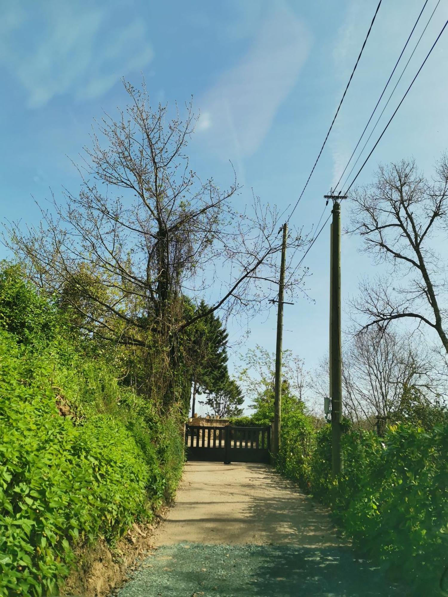 La Planque De L'Eclusier Villa Castelnau-de-Lévis Exteriör bild